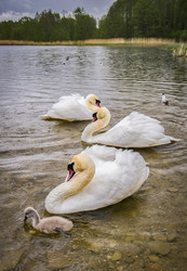 Similar image 22643942