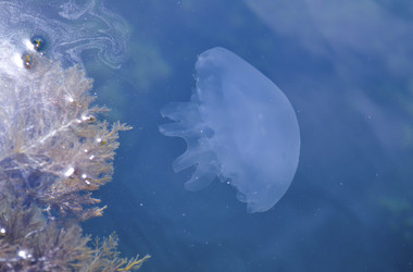Similar image 22643911