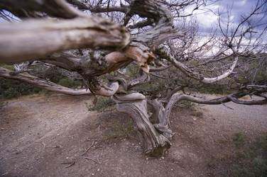 Similar image 22642597