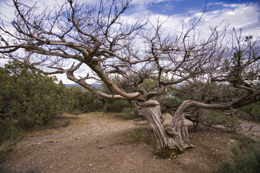 Similar image 22642599
