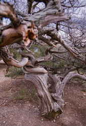 Similar image 22643912