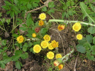 Similar image 22645307