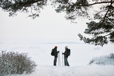 Similar image 22617010