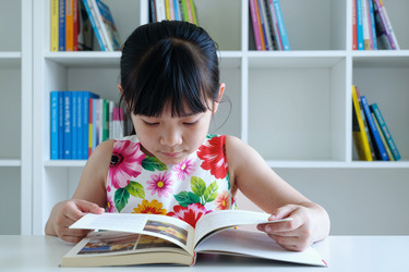 Similar image 22604964