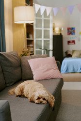 Similar image 22615548