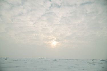 Similar image 22617014