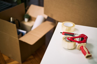 Similar image 22616469