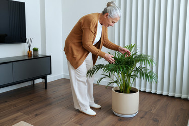 Similar image 22605114