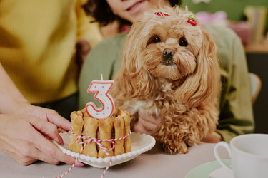 Similar image 22615537