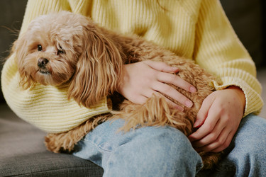 Similar image 22615593