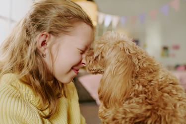 Similar image 22615591