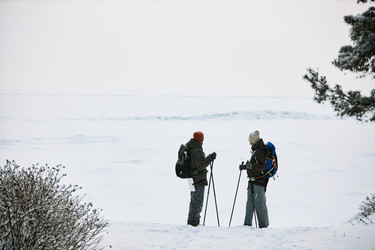 Similar image 22617006