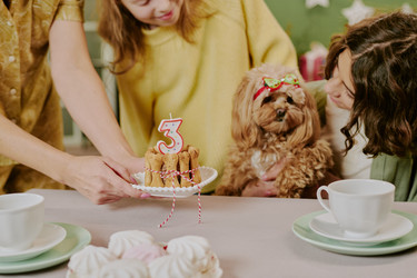 Similar image 22615535