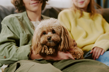 Similar image 22615603