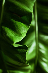 Similar image 22674759