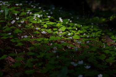 Similar image 22668842