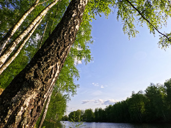 Similar image 22727280