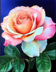Similar image 22702468