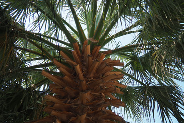 Similar image 22705365