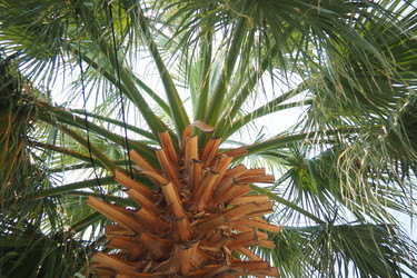 Similar image 22705638