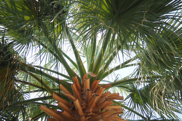 Similar image 22705786