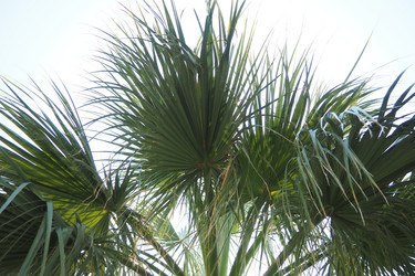 Similar image 22706067