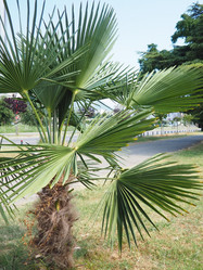 Similar image 22706458