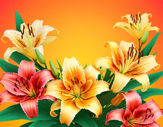 Similar image 22697240