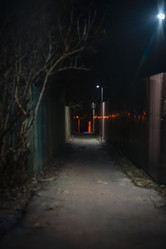 Similar image 22768199