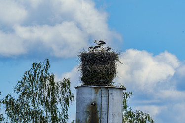 Similar image 22668904