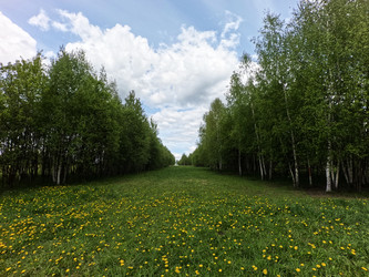 Similar image 22726253