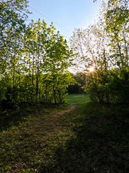 Similar image 22727249