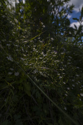 Similar image 22747479