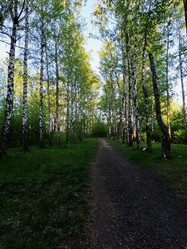 Similar image 22726211