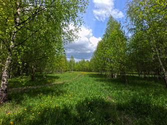 Similar image 22726694