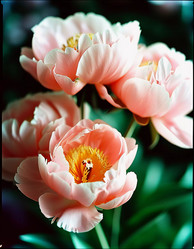 Similar image 22707596