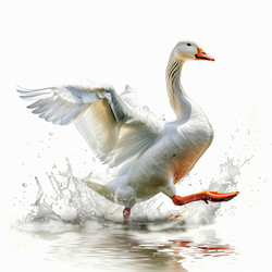 Similar image 22768353