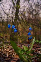 Similar image 22747533