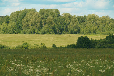 Similar image 22726564