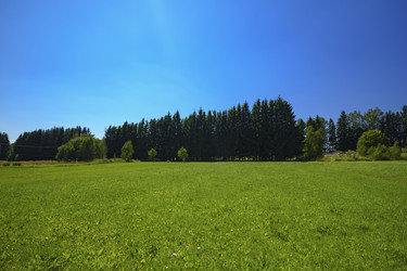 Similar image 22726744
