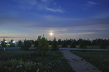 Similar image 22768266