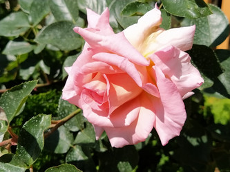 Similar image 22697913
