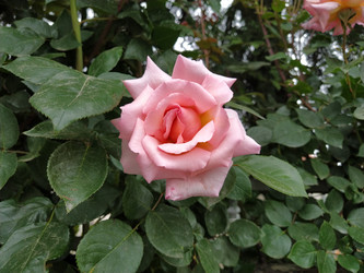 Similar image 22699232