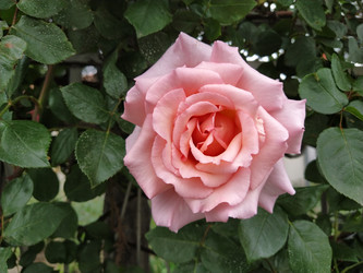Similar image 22699340
