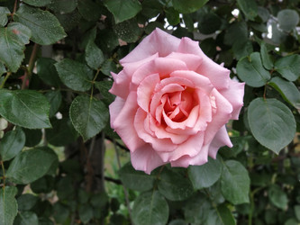 Similar image 22699472