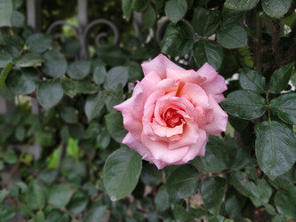 Similar image 22699595