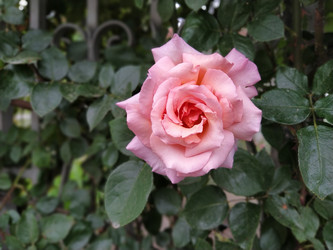 Similar image 22699728