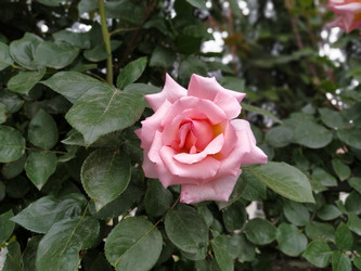 Similar image 22699847