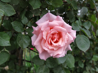 Similar image 22699968