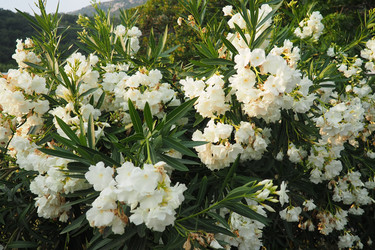 Similar image 22698889